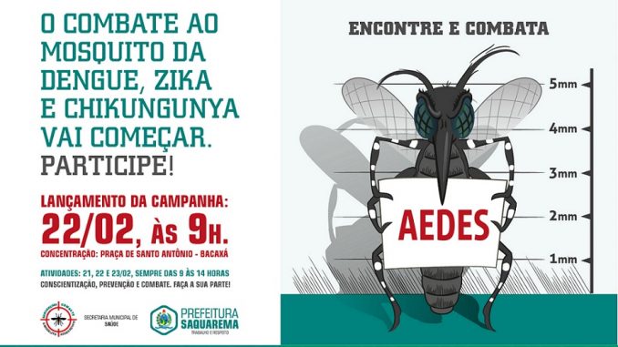 Aedes Egypti - Banner Site-01