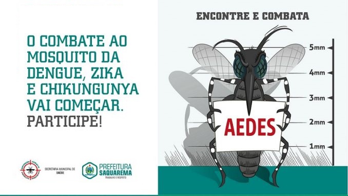 Mosquito dengue - campanha