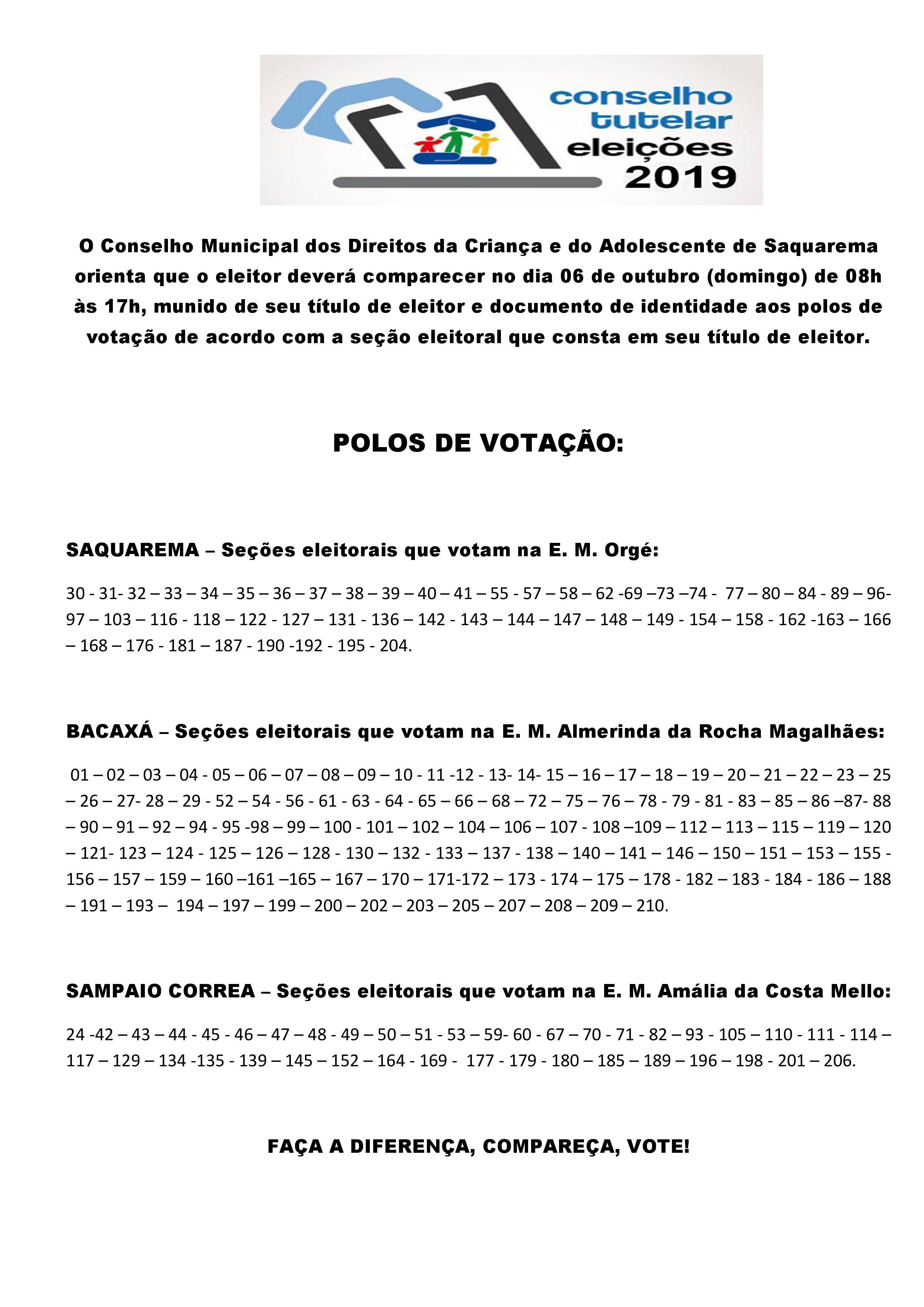 Conselho Tutelar: sistema apresenta problemas e totalização dos votos  emperra